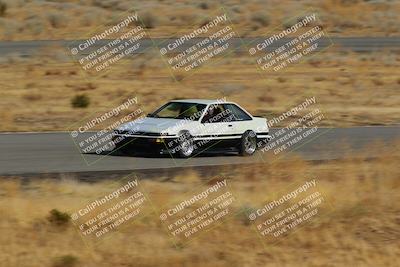 media/Feb-22-2025-Team Topak Racing (Sat) [[cb57a51a40]]/86 Party Brigade/Turns 2 and 4/